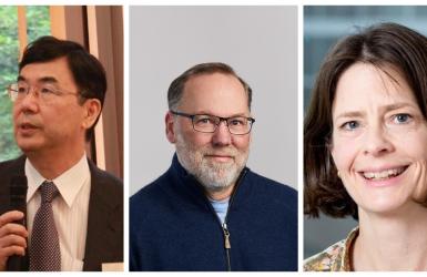 जीव विज्ञानमा यसपालिको नोबेल पुरस्कार प्रतिरक्षा प्रणालीको “ब्रेक” का लागि